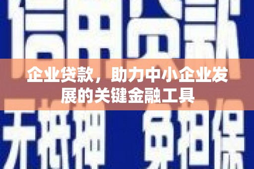 柳林企业贷款，助力中小企业发展的关键金融工具