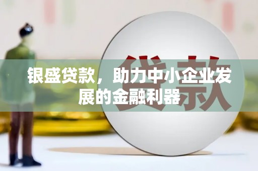 柳林银盛贷款，助力中小企业发展的金融利器