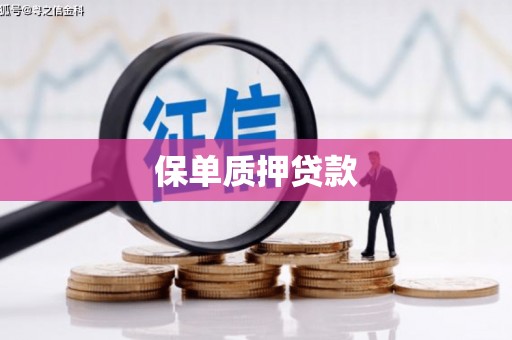 柳林保单质押贷款
