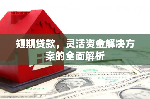 柳林短期贷款，灵活资金解决方案的全面解析