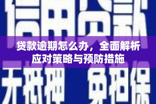 柳林贷款逾期怎么办，全面解析应对策略与预防措施