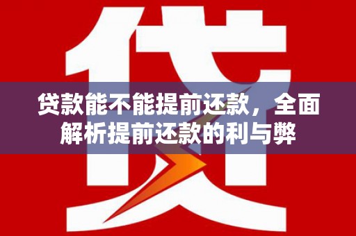 柳林贷款能不能提前还款，全面解析提前还款的利与弊