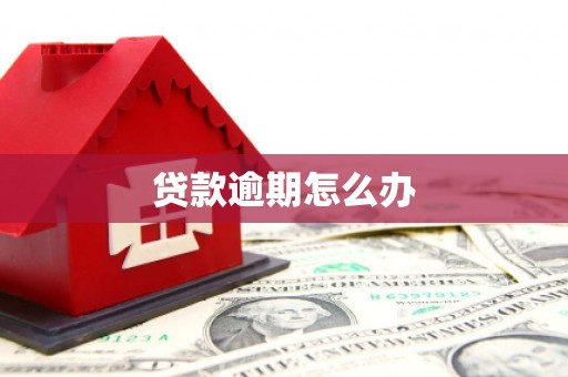 柳林贷款逾期怎么办