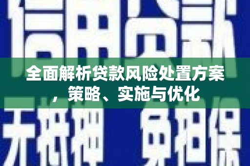 柳林全面解析贷款风险处置方案，策略、实施与优化