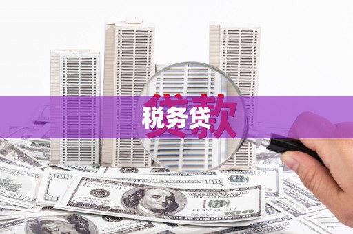柳林税务贷
