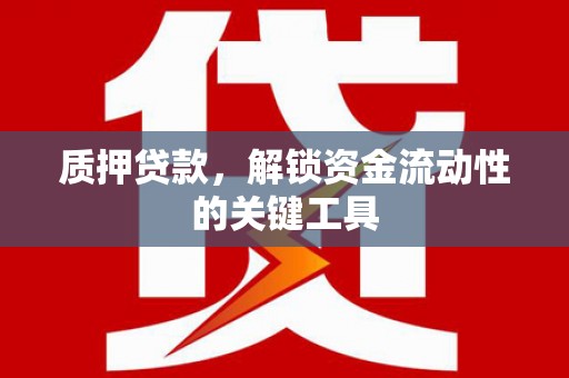 柳林质押贷款，解锁资金流动性的关键工具