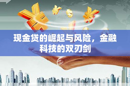 柳林现金贷的崛起与风险，金融科技的双刃剑