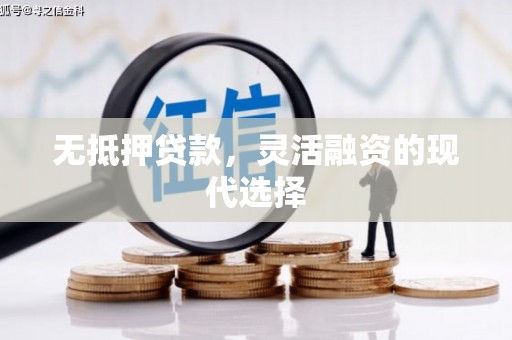 柳林无抵押贷款，灵活融资的现代选择
