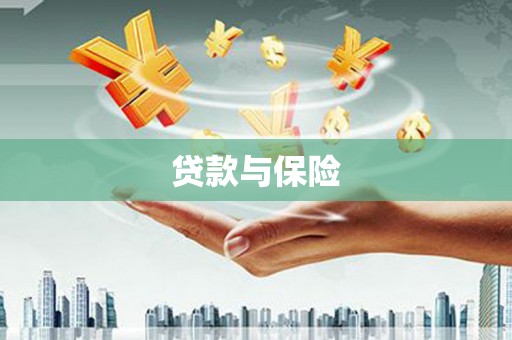 柳林贷款与保险