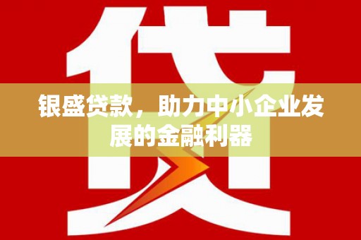 柳林银盛贷款，助力中小企业发展的金融利器