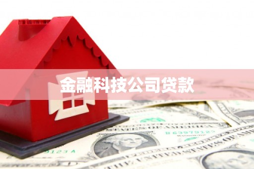 柳林金融科技公司贷款