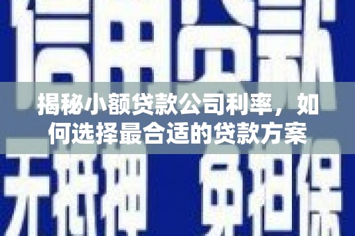 柳林揭秘小额贷款公司利率，如何选择最合适的贷款方案