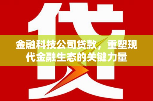 柳林金融科技公司贷款，重塑现代金融生态的关键力量