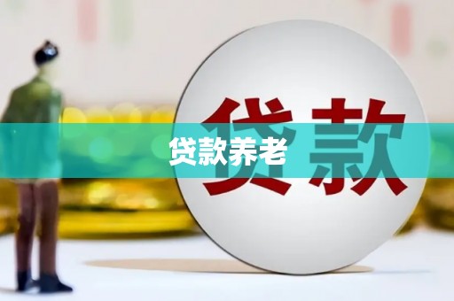 柳林贷款养老