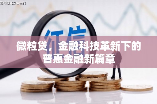 柳林微粒贷，金融科技革新下的普惠金融新篇章