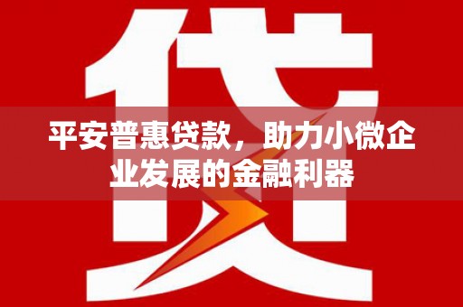 柳林平安普惠贷款，助力小微企业发展的金融利器