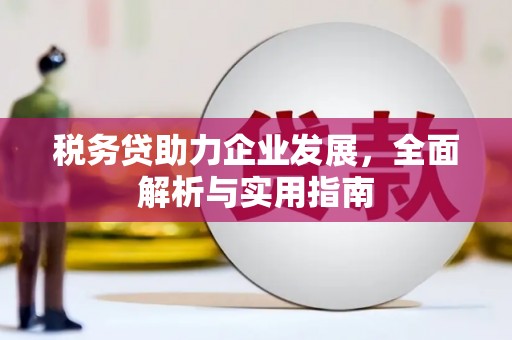 柳林税务贷助力企业发展，全面解析与实用指南