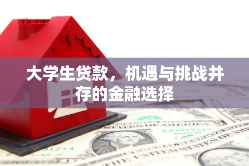 柳林大学生贷款，机遇与挑战并存的金融选择