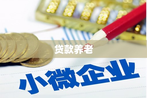 柳林贷款养老