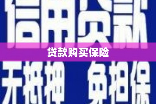 柳林贷款购买保险