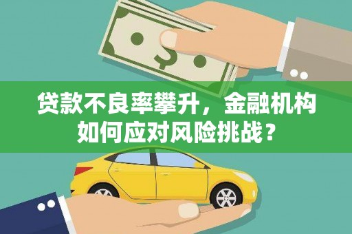 柳林贷款不良率攀升，金融机构如何应对风险挑战？