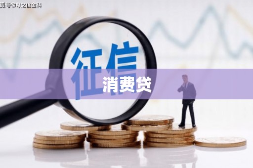柳林消费贷