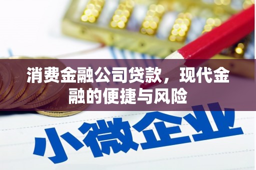 柳林消费金融公司贷款，现代金融的便捷与风险