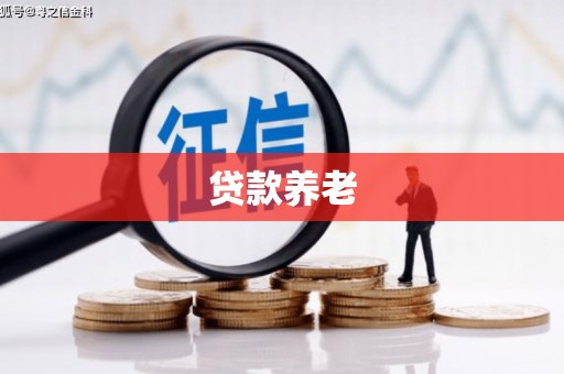 柳林贷款养老