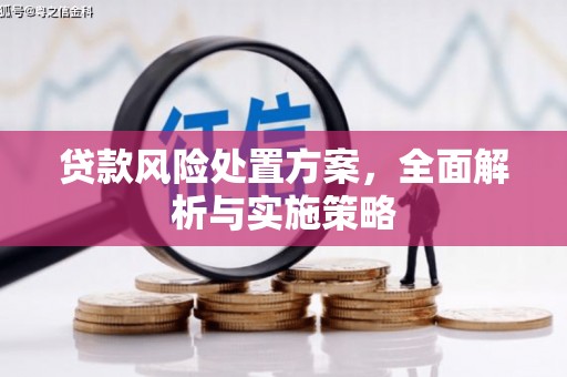 柳林贷款风险处置方案，全面解析与实施策略
