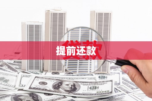柳林提前还款