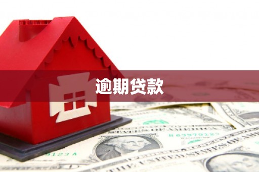 柳林逾期贷款