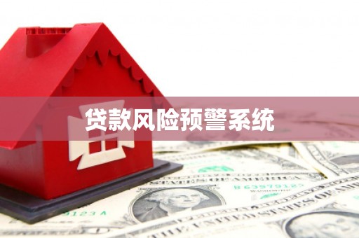 柳林贷款风险预警系统